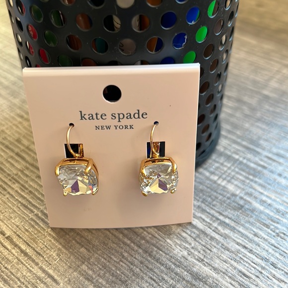 Kate Spade Earrings (Never Worn)